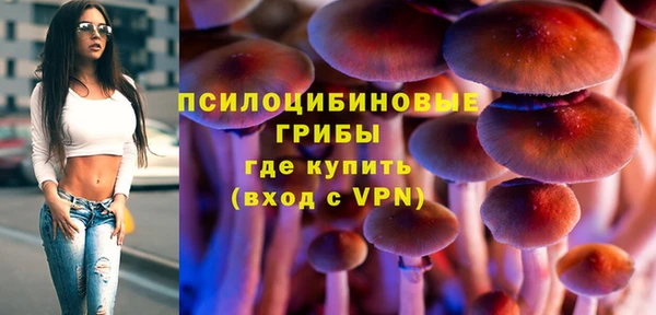 спиды Алексин