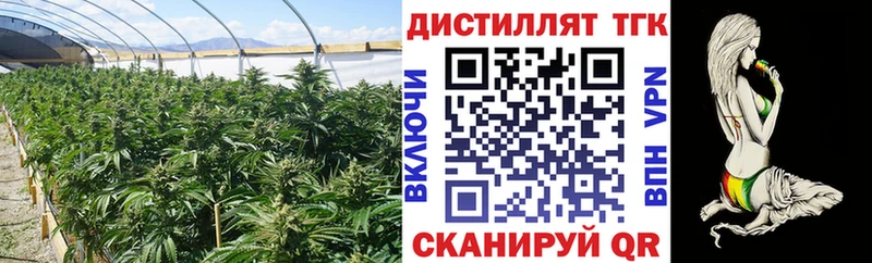 ТГК концентрат Абинск