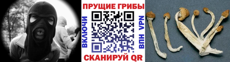 Псилоцибиновые грибы ЛСД  даркнет сайт  Абинск 